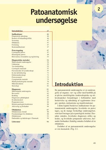 Patoanatomisk undersøgelse