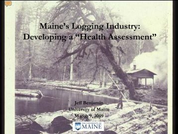 Developing a Health Assessment - The University of Maine - School ...