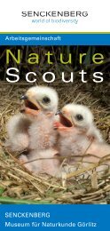 Neue Arbeitsgemeinschaft: » Nature Scouts