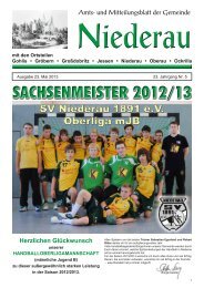 Niederau - Meissner Sportverein 08 - Hauptseite