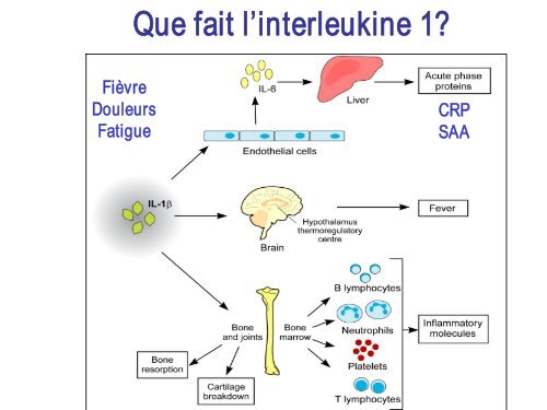 Les syndromes CAPS