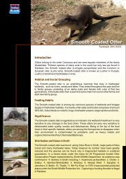 Download - foreverindus.org - WWF - Pakistan