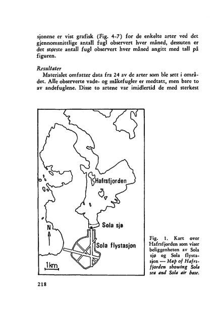 Sterna, bind 11 nr 4 (PDF-fil) - Museum Stavanger