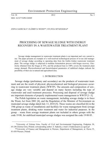 Processing of sewage sludge with energy recovery in a wastewater ...