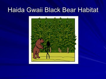 Black Bear Presentation