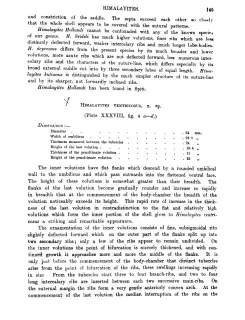 Ser. XV. HIMALAYAN FOSSILS, Vol. IV. THE FAUNA OF THE SPITI ...