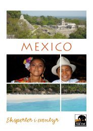 Mexico katalog - Jesper Hannibal