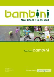 Factsheets - BAMBINI Project