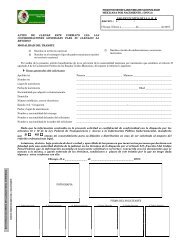 Modelo De Solicitud De Nacionalidad Espanola Por Carta De Naturaleza