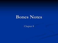 Bones Notes.pdf