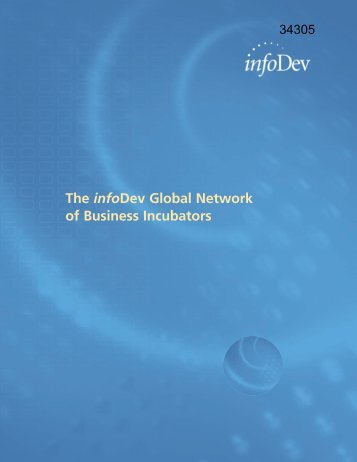 The infoDev Global Network of Business ... - Economic Growth