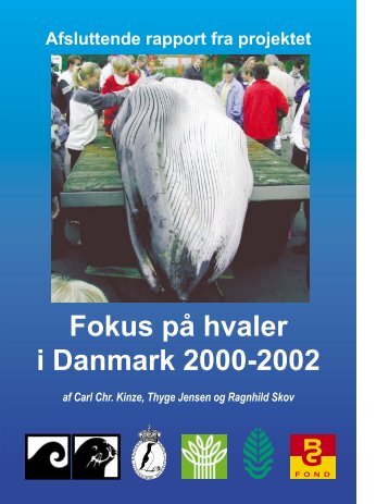 Marsvinerapport 2000 - 2002 - Fokus på Hvaler i Danmark