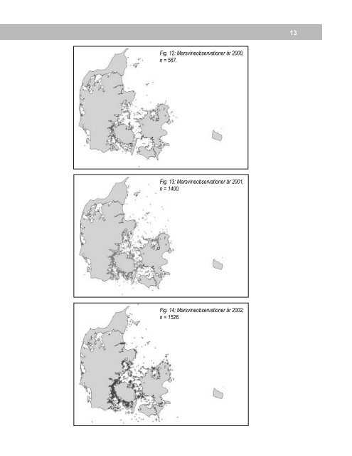 Marsvinerapport 2000 - 2002 - Fokus på Hvaler i Danmark