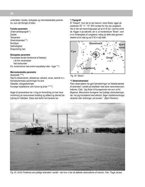 Marsvinerapport 2000 - 2002 - Fokus på Hvaler i Danmark