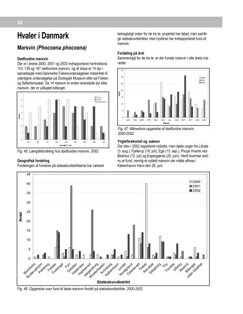 Marsvinerapport 2000 - 2002 - Fokus på Hvaler i Danmark