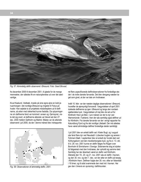 Marsvinerapport 2000 - 2002 - Fokus på Hvaler i Danmark