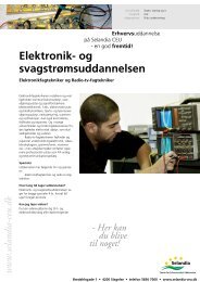 Elektronik- og svagstrømsuddannelsen - Selandia CEU