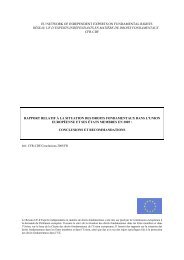 eu network of independent experts on fundamental rights ... - cridho