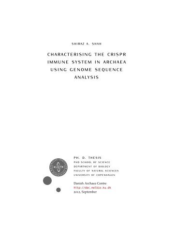 Characterising the CRISPR immune system in Archaea