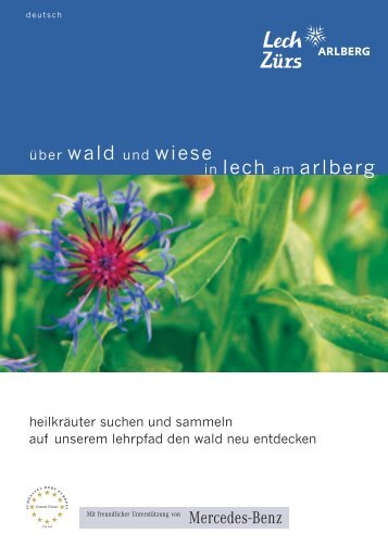 Lech-Zürs - über wald und wiesen