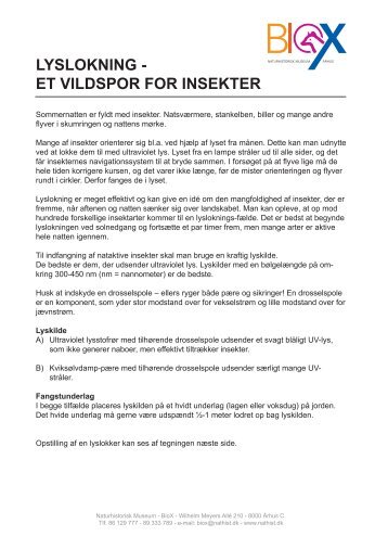 lyslokning - et vildspor for insekter - Naturhistorisk Museum