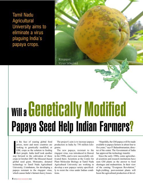 Will a Genetically Modified Papaya Seed Help Indian Farmers ...