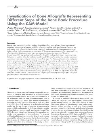 Investigation of Bone Allografts Representing Different Steps - Altweb