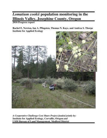 Lomatium cookii population monitoring in the Illinois Valley ...