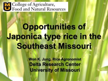 Opportunities of Japonica type rice in the Southeast Missouri
