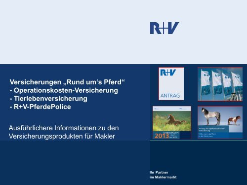 Ausführliche Fassung - R+V Versicherung