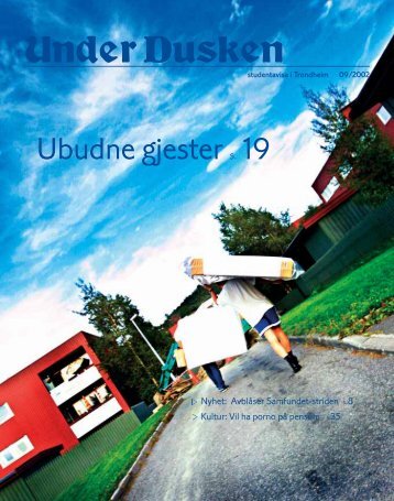Ubudne gjester S. 19 - Under Dusken