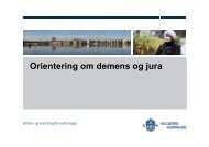 Orientering om demens og jura - Aalborg Kommune