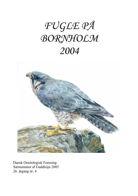 Fugle på Bornholm 2004 (3,7 Mb) - DOF Bornholm