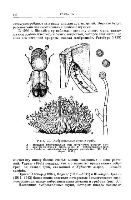 principles of insect pathology