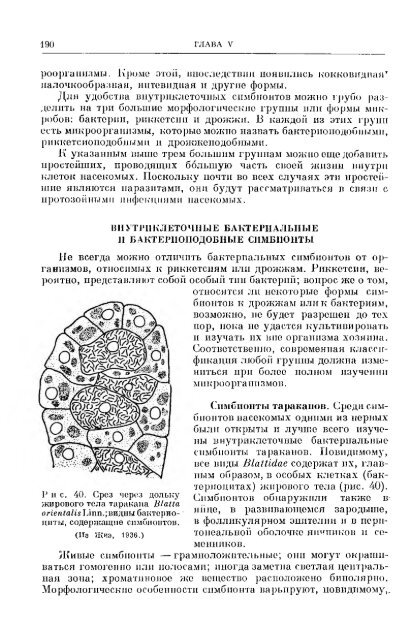 principles of insect pathology