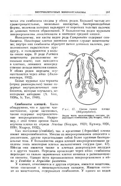 principles of insect pathology