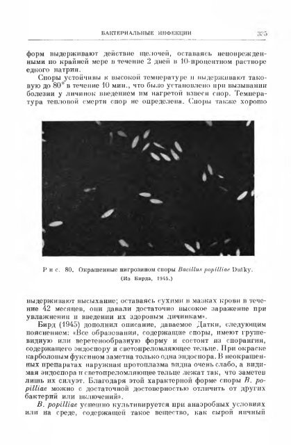 principles of insect pathology