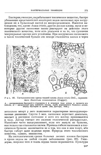 principles of insect pathology