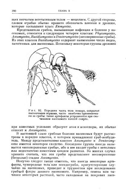 principles of insect pathology