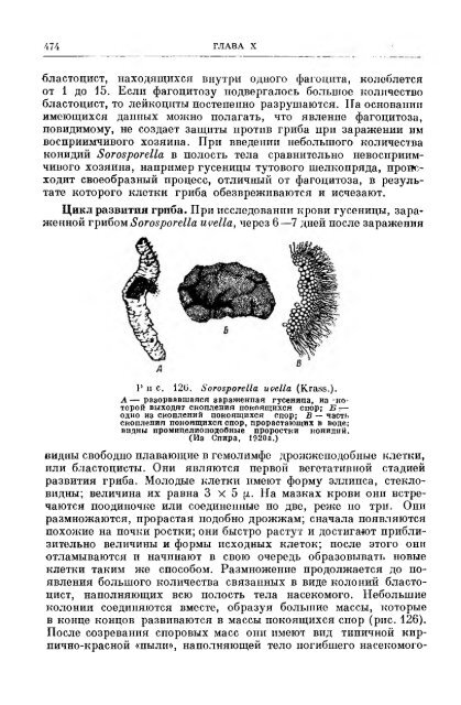 principles of insect pathology