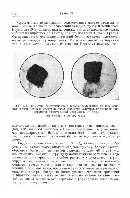 principles of insect pathology