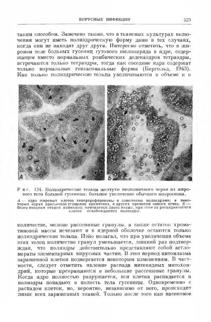 principles of insect pathology