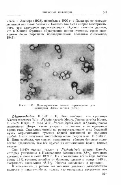 principles of insect pathology