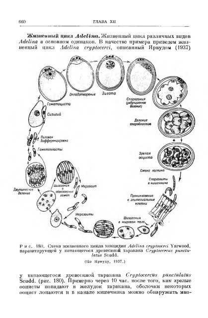 principles of insect pathology