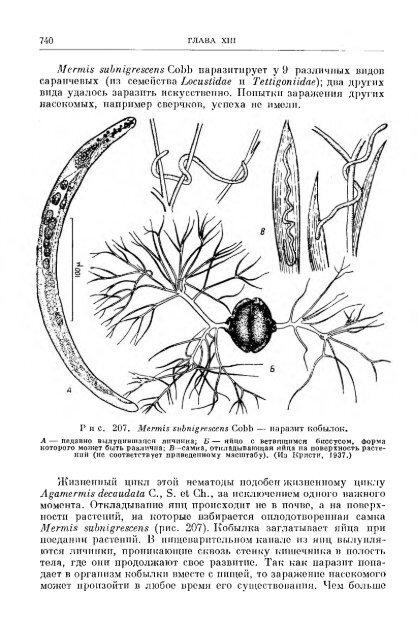 principles of insect pathology