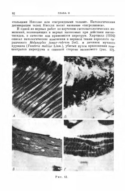 principles of insect pathology