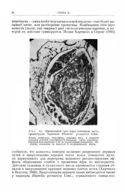 principles of insect pathology