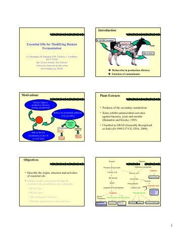 Essential Oils for Modifying Rumen Fermentation Introduction ...