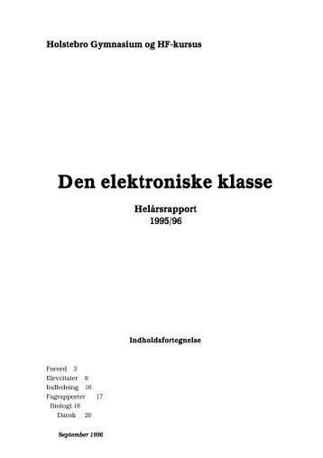 Holstebro, 1. årsrapport 1996 - Undervisningsministeriet