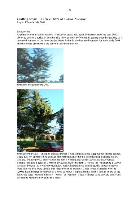 Grafting cedars - a new cultivar of Cedrus deodara? - Lincoln ...